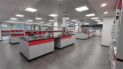 Gas Distribution System (GDS) Project